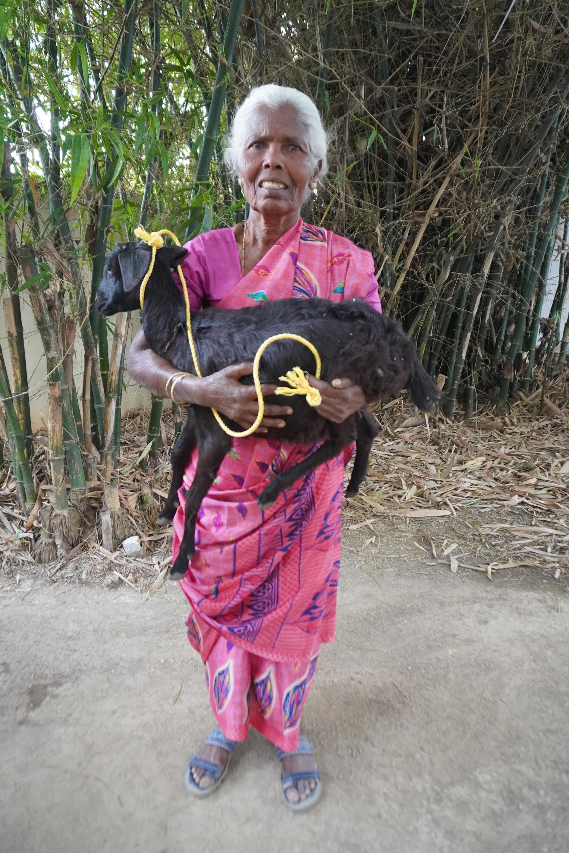 Goat Program image 3