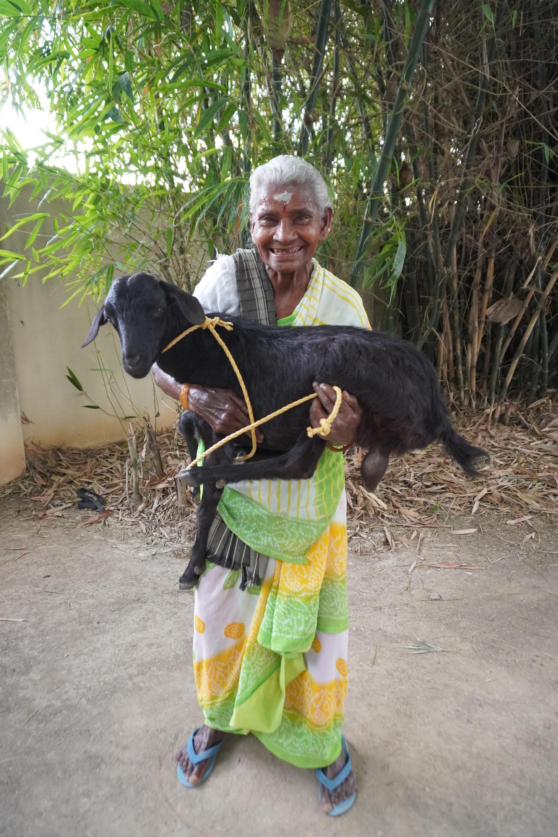 Goat Program image 7