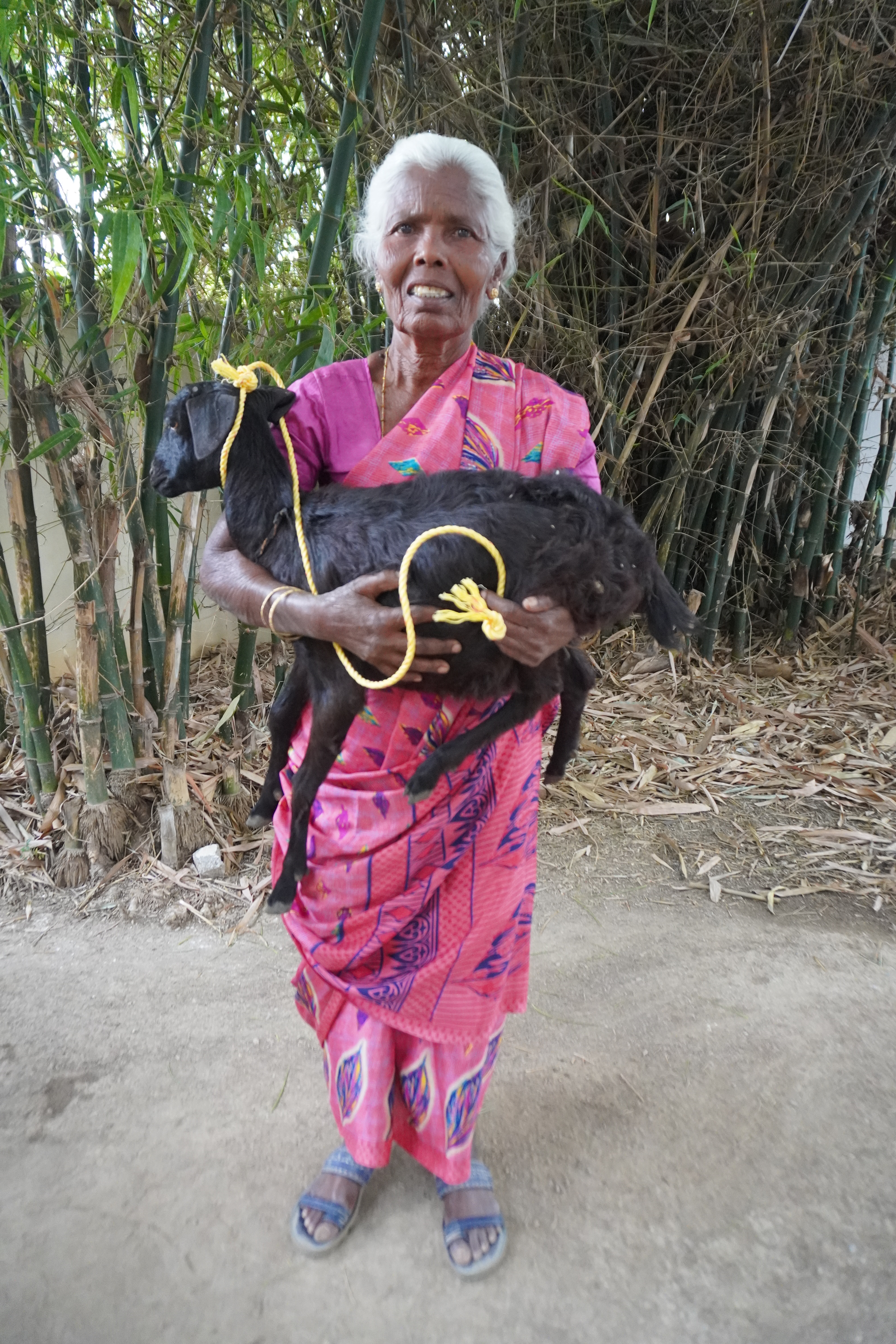 Goat Program image 3