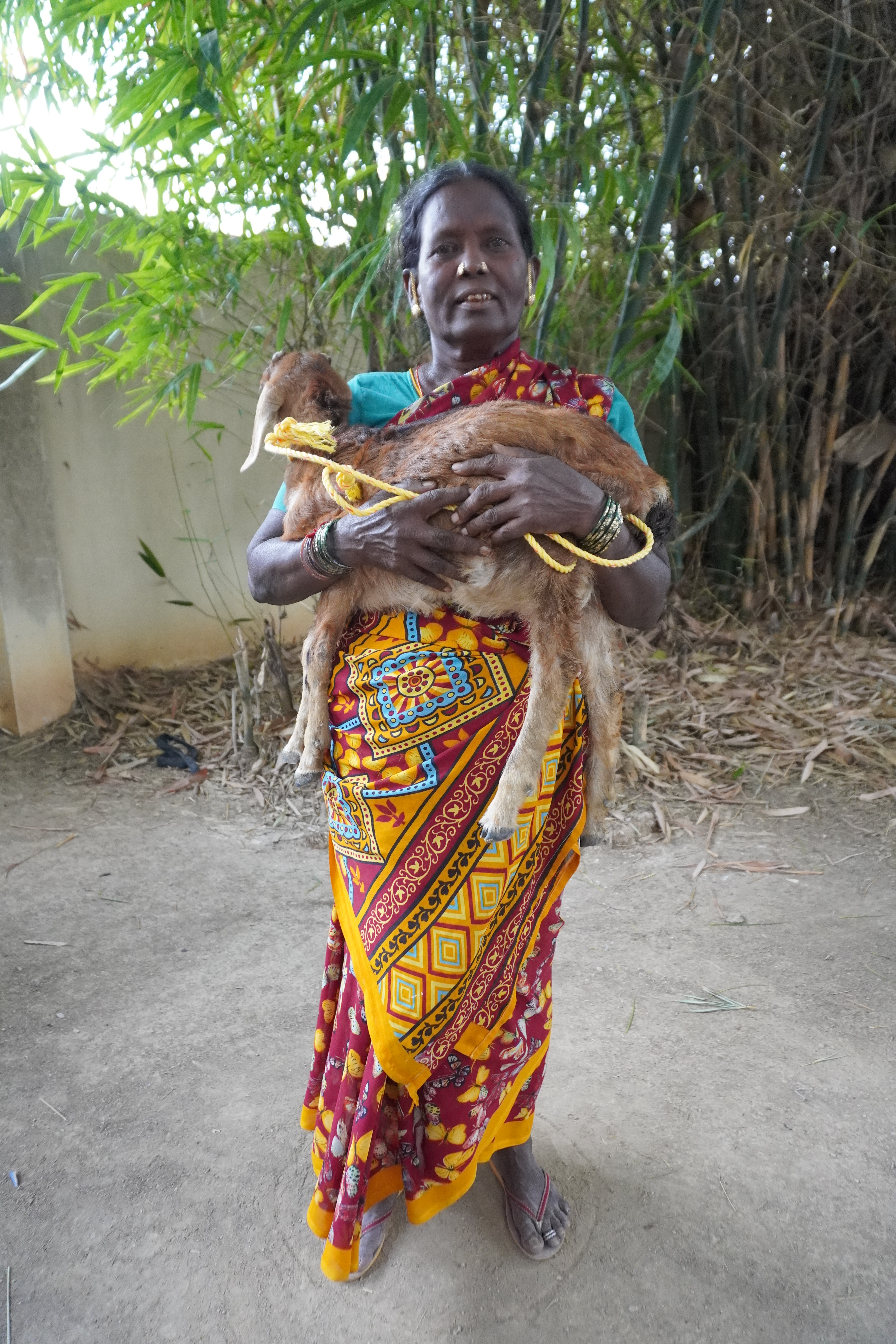 Goat Program image 4