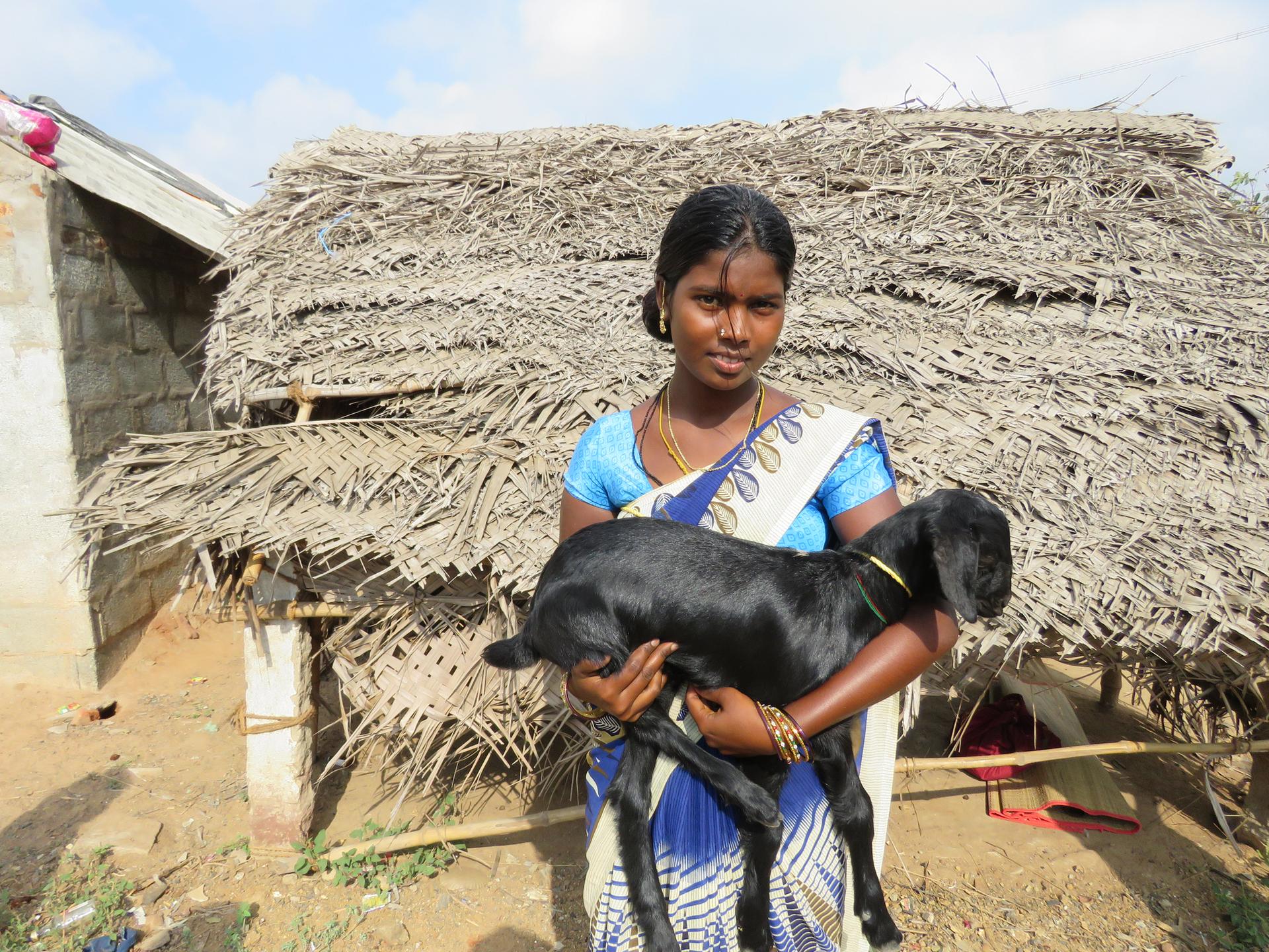 Goat Program image 13